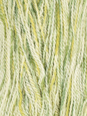 Andeamo Lite Painted Yarn by Jody Long