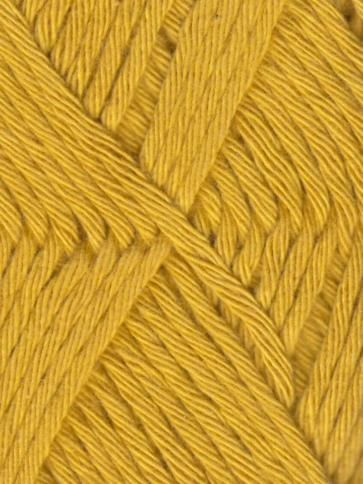 Coastal Cotton Yarn by Queensland