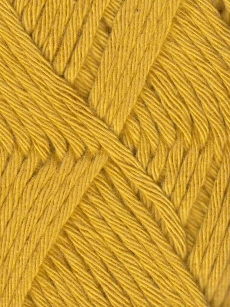 Coastal Cotton Yarn by Queensland
