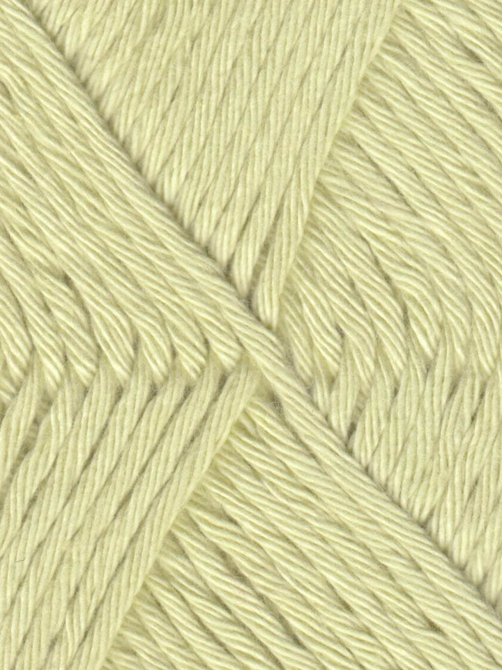 Coastal Cotton Yarn by Queensland