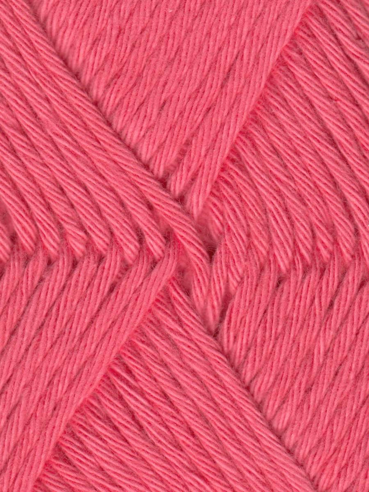 Coastal Cotton Yarn by Queensland