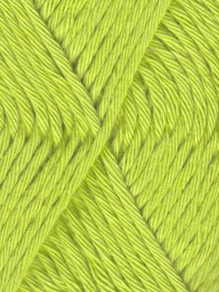 Coastal Cotton Yarn by Queensland