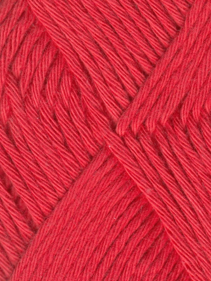 Coastal Cotton Yarn by Queensland