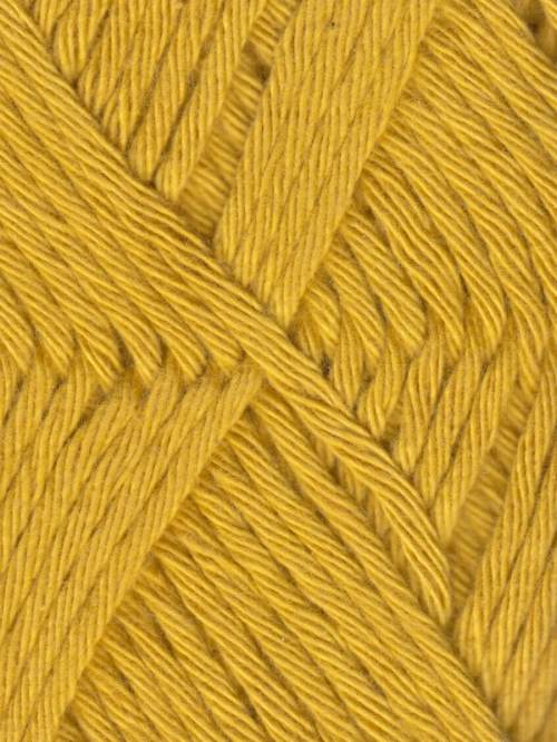 Coastal Cotton Fine Yarn by Queensland