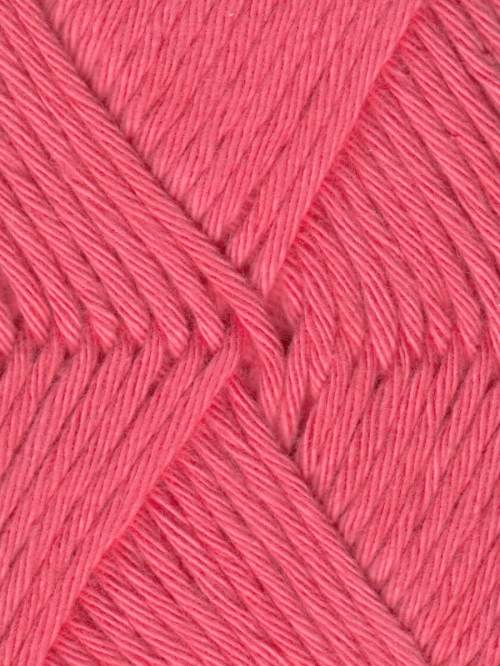 Coastal Cotton Fine Yarn by Queensland