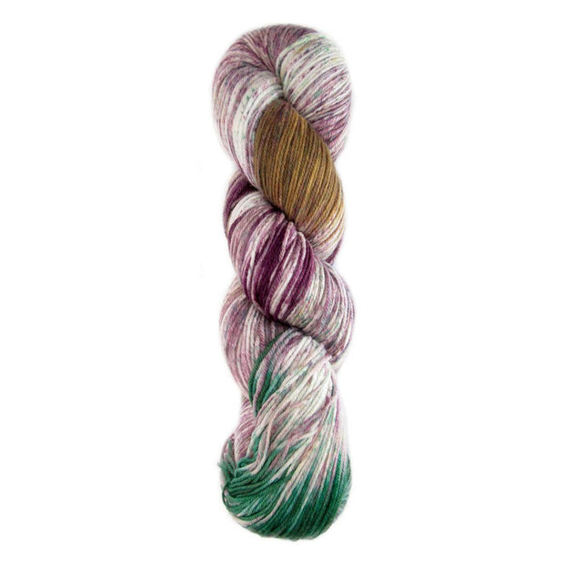 Huasco Sock Yarn by Araucania