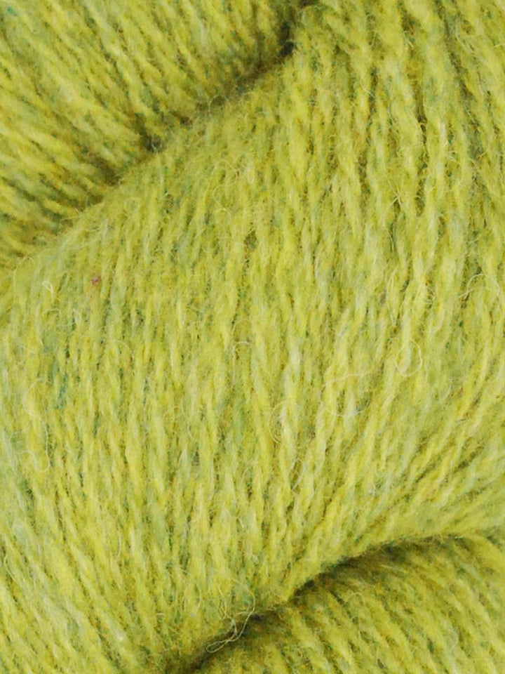 Shetland Lite Organic Wool Yarn by Queensland Collection