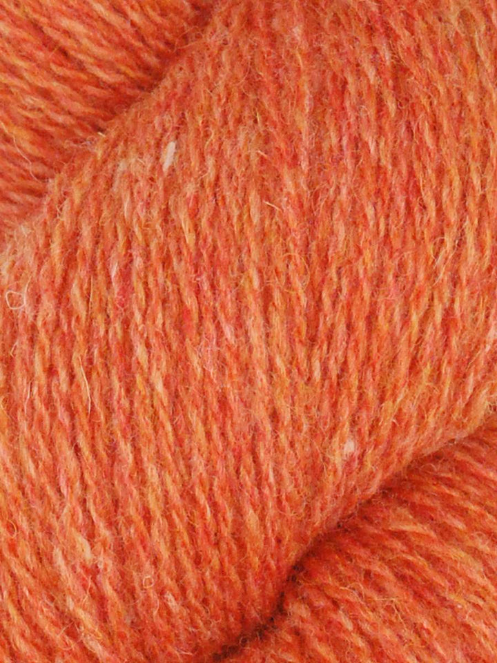 Shetland Lite Organic Wool Yarn by Queensland Collection