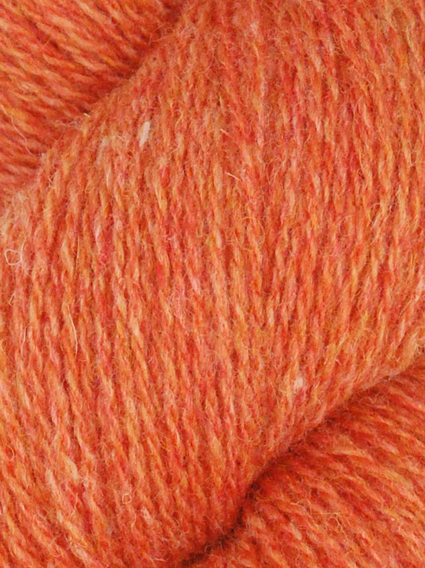 Shetland Lite Organic Wool Yarn by Queensland Collection