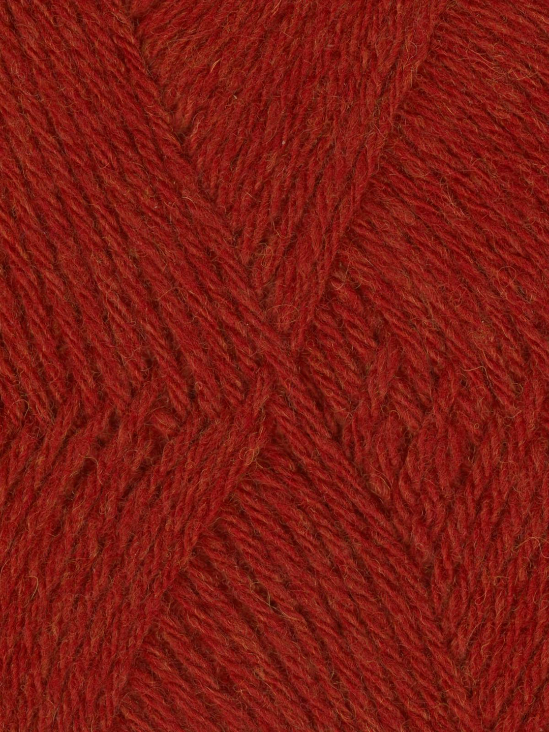 Walkabout Yarn by Queensland Collection