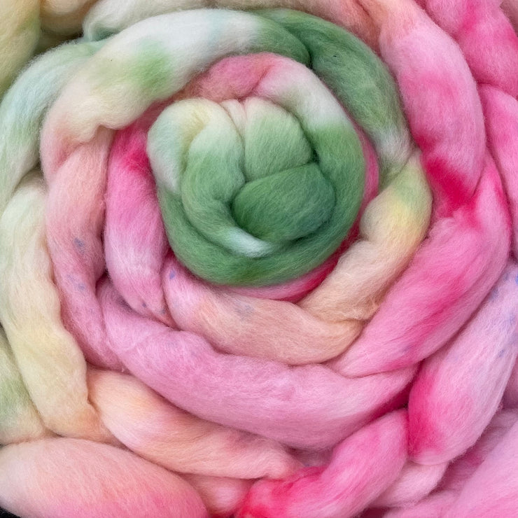 Hand Dyed Organic Polwarth Wool Roving