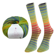 Paint Sock Yarn by Laines du Nord