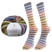 Paint Sock Yarn by Laines du Nord