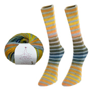 Paint Sock Yarn by Laines du Nord
