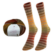 Paint Sock Yarn by Laines du Nord