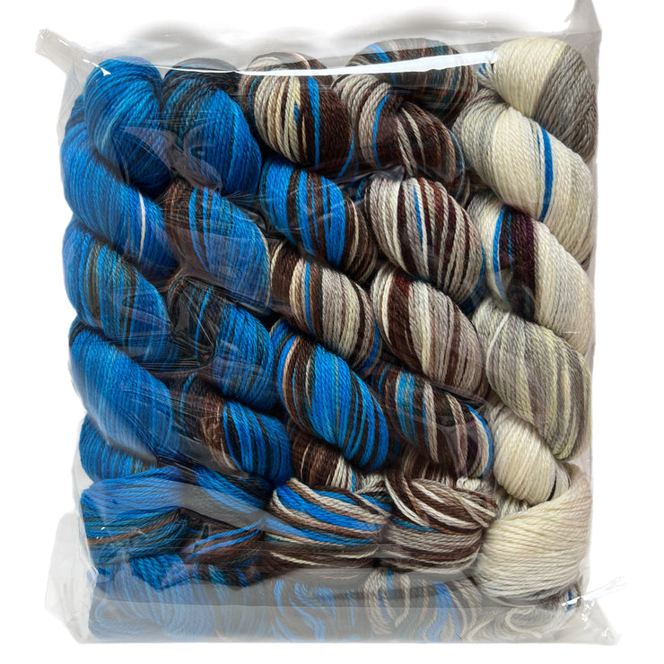 Merino Cloud Fade Kit from Artyarns