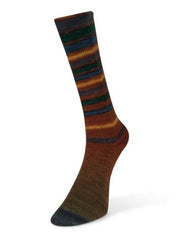 Infinity Sock Yarn by Laines du Nord