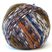 Life Style Ambiente Superwash Wool Yarn by Schoppel Wolle