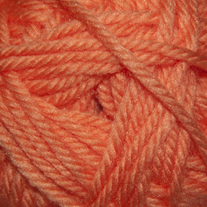 Cherub Chunky Nylon &amp; Acrylic Blend Yarn by Cascade
